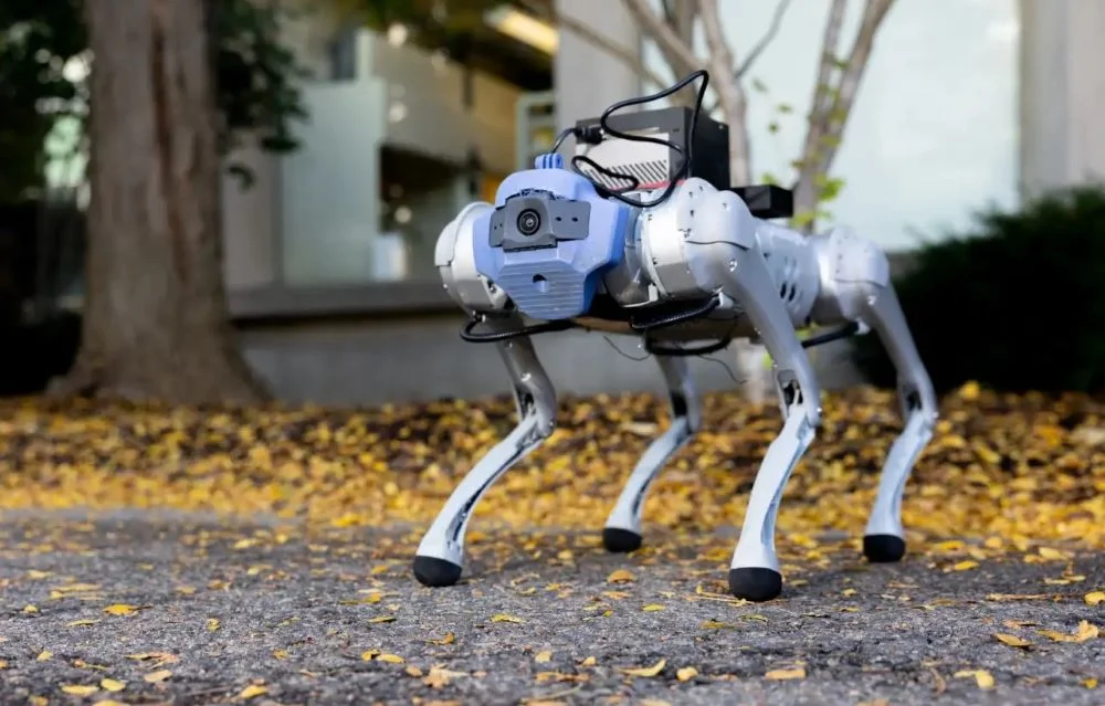 robot dog